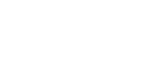 Mega Development Studios